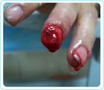 k8凯发(中国游)官方网站-APP下载