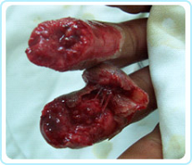 k8凯发(中国游)官方网站-APP下载