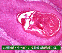 k8凯发(中国游)官方网站-APP下载