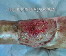 k8凯发(中国游)官方网站-APP下载