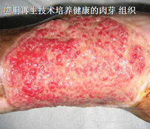 k8凯发(中国游)官方网站-APP下载