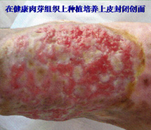 k8凯发(中国游)官方网站-APP下载