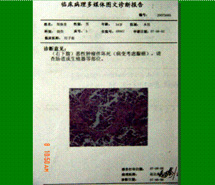 k8凯发(中国游)官方网站-APP下载