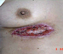 k8凯发(中国游)官方网站-APP下载