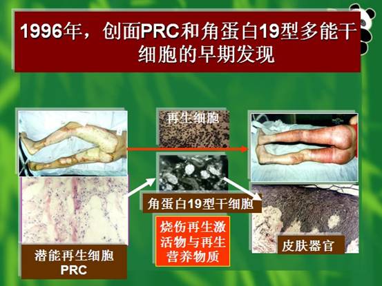 k8凯发(中国游)官方网站-APP下载