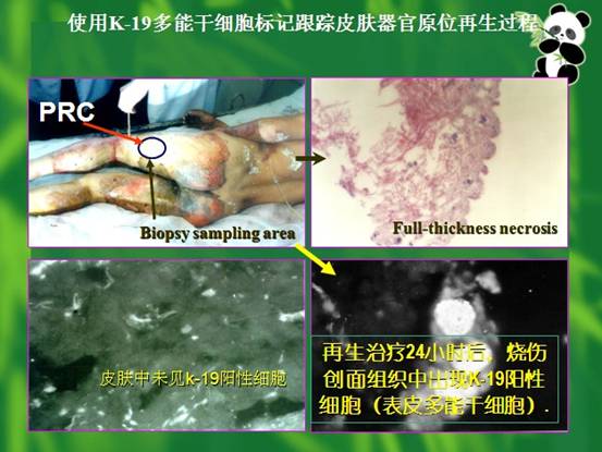 k8凯发(中国游)官方网站-APP下载