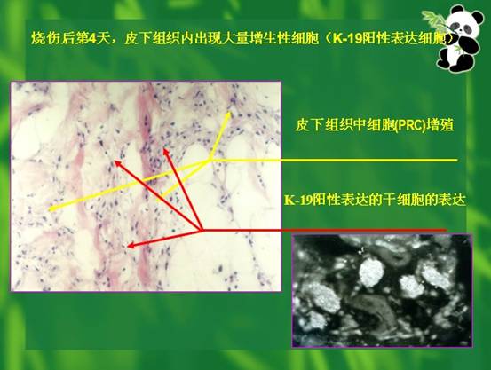 k8凯发(中国游)官方网站-APP下载
