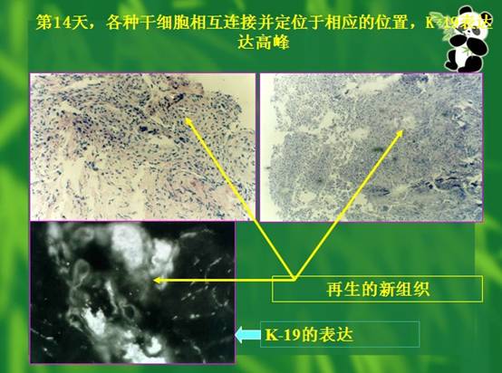 k8凯发(中国游)官方网站-APP下载