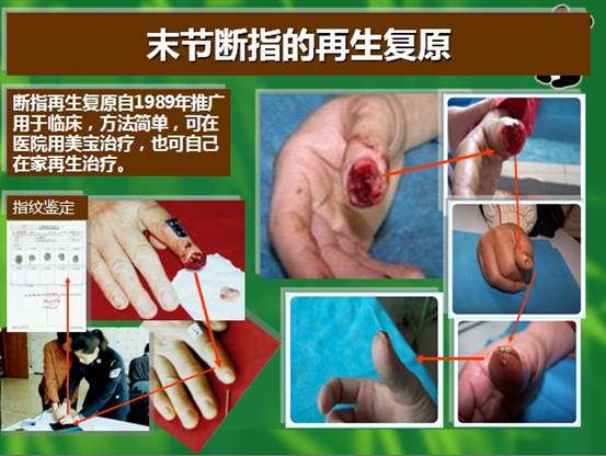 k8凯发(中国游)官方网站-APP下载