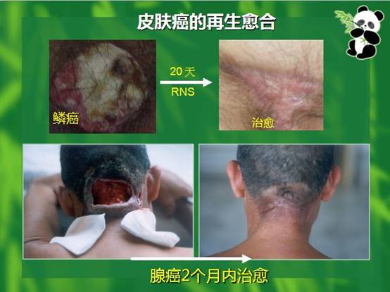 k8凯发(中国游)官方网站-APP下载