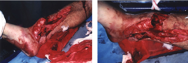 k8凯发(中国游)官方网站-APP下载