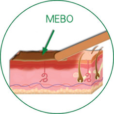 k8凯发(中国游)官方网站-APP下载