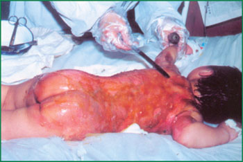 k8凯发(中国游)官方网站-APP下载