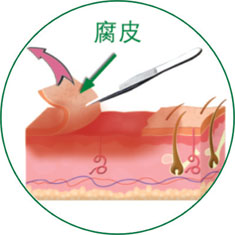 k8凯发(中国游)官方网站-APP下载