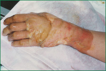 k8凯发(中国游)官方网站-APP下载