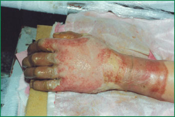 k8凯发(中国游)官方网站-APP下载