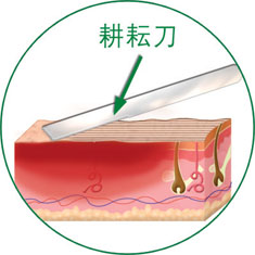 k8凯发(中国游)官方网站-APP下载
