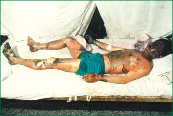 k8凯发(中国游)官方网站-APP下载