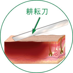 k8凯发(中国游)官方网站-APP下载