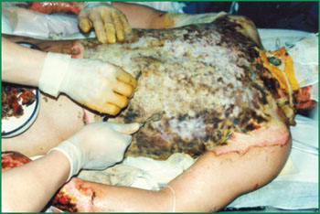 k8凯发(中国游)官方网站-APP下载