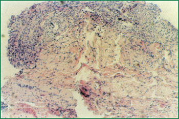 k8凯发(中国游)官方网站-APP下载