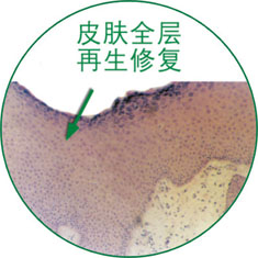 k8凯发(中国游)官方网站-APP下载