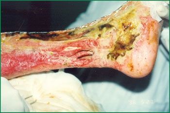 k8凯发(中国游)官方网站-APP下载