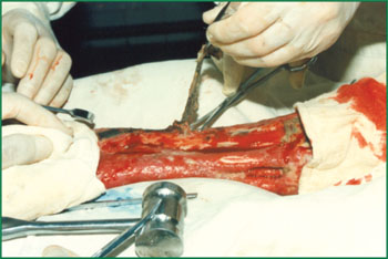 k8凯发(中国游)官方网站-APP下载