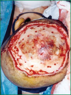 k8凯发(中国游)官方网站-APP下载