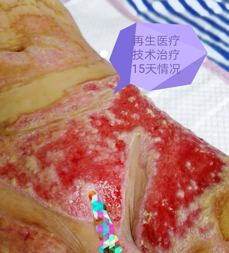 k8凯发(中国游)官方网站-APP下载