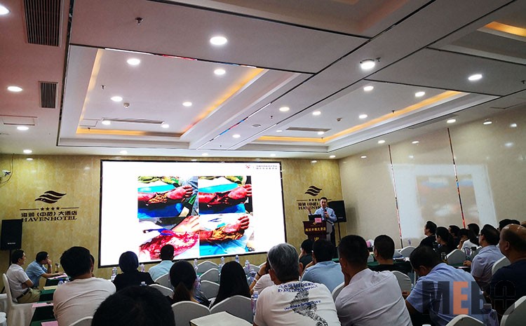 k8凯发(中国游)官方网站-APP下载