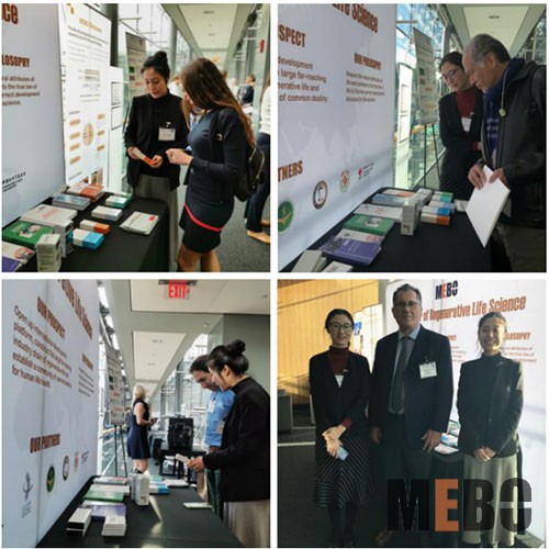 k8凯发(中国游)官方网站-APP下载