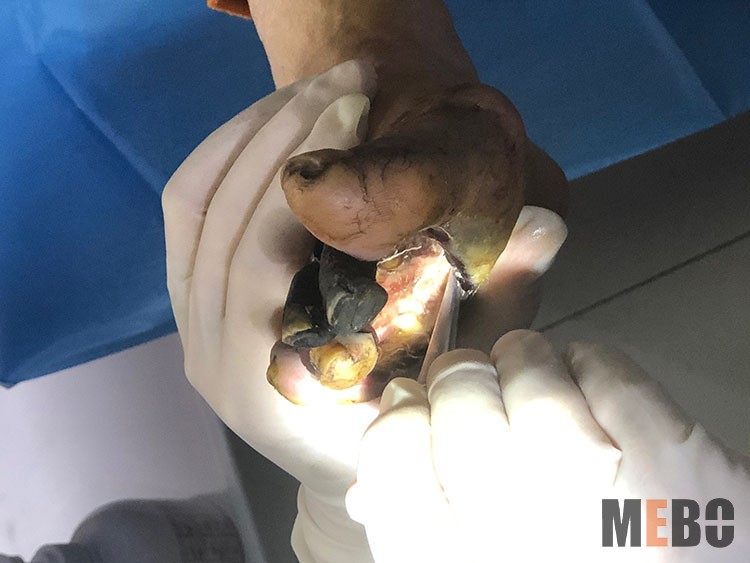 k8凯发(中国游)官方网站-APP下载