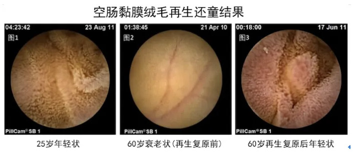 k8凯发(中国游)官方网站-APP下载