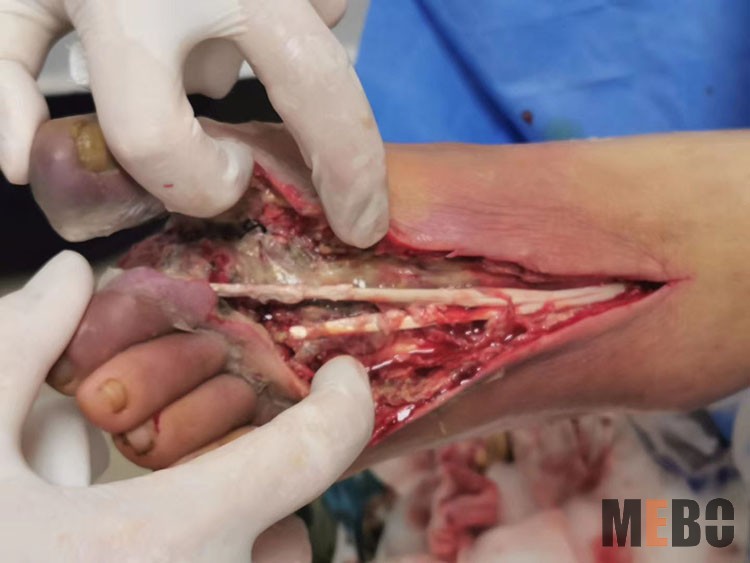 k8凯发(中国游)官方网站-APP下载