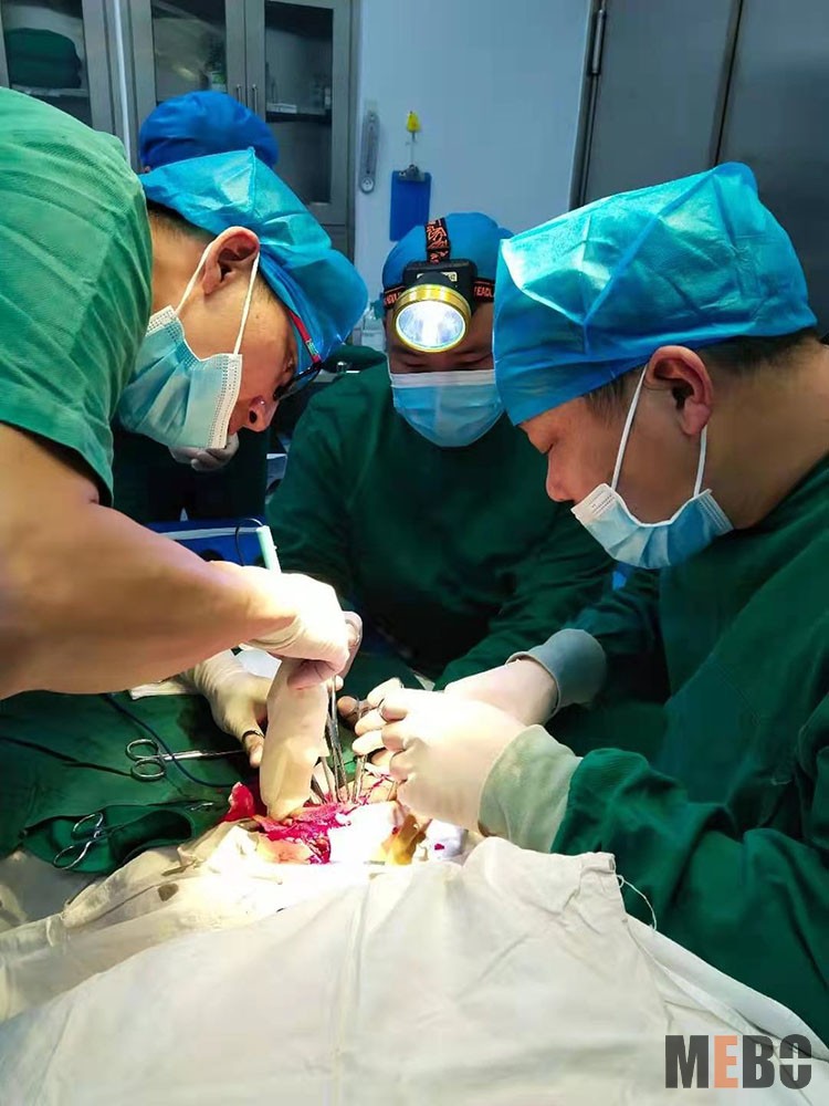 k8凯发(中国游)官方网站-APP下载