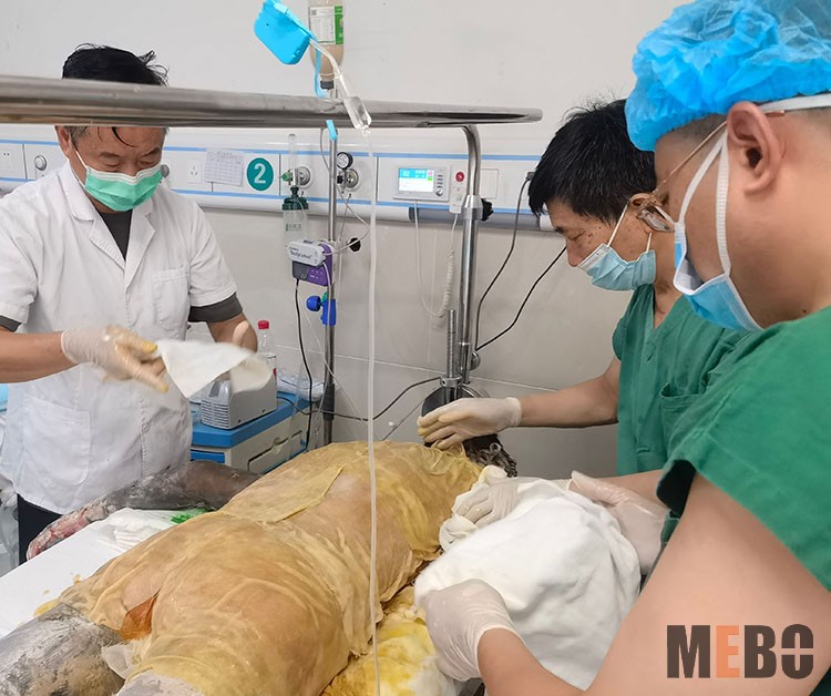 k8凯发(中国游)官方网站-APP下载