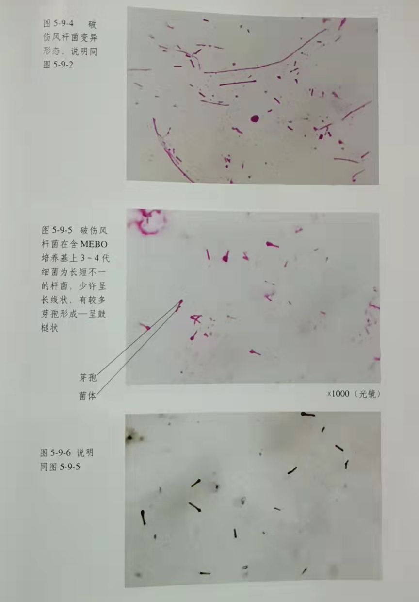 k8凯发(中国游)官方网站-APP下载