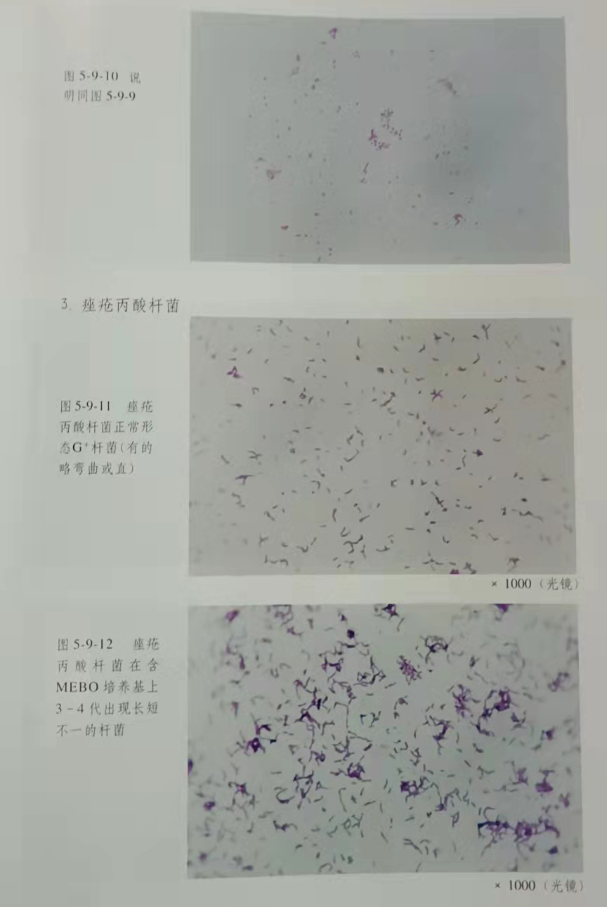 k8凯发(中国游)官方网站-APP下载