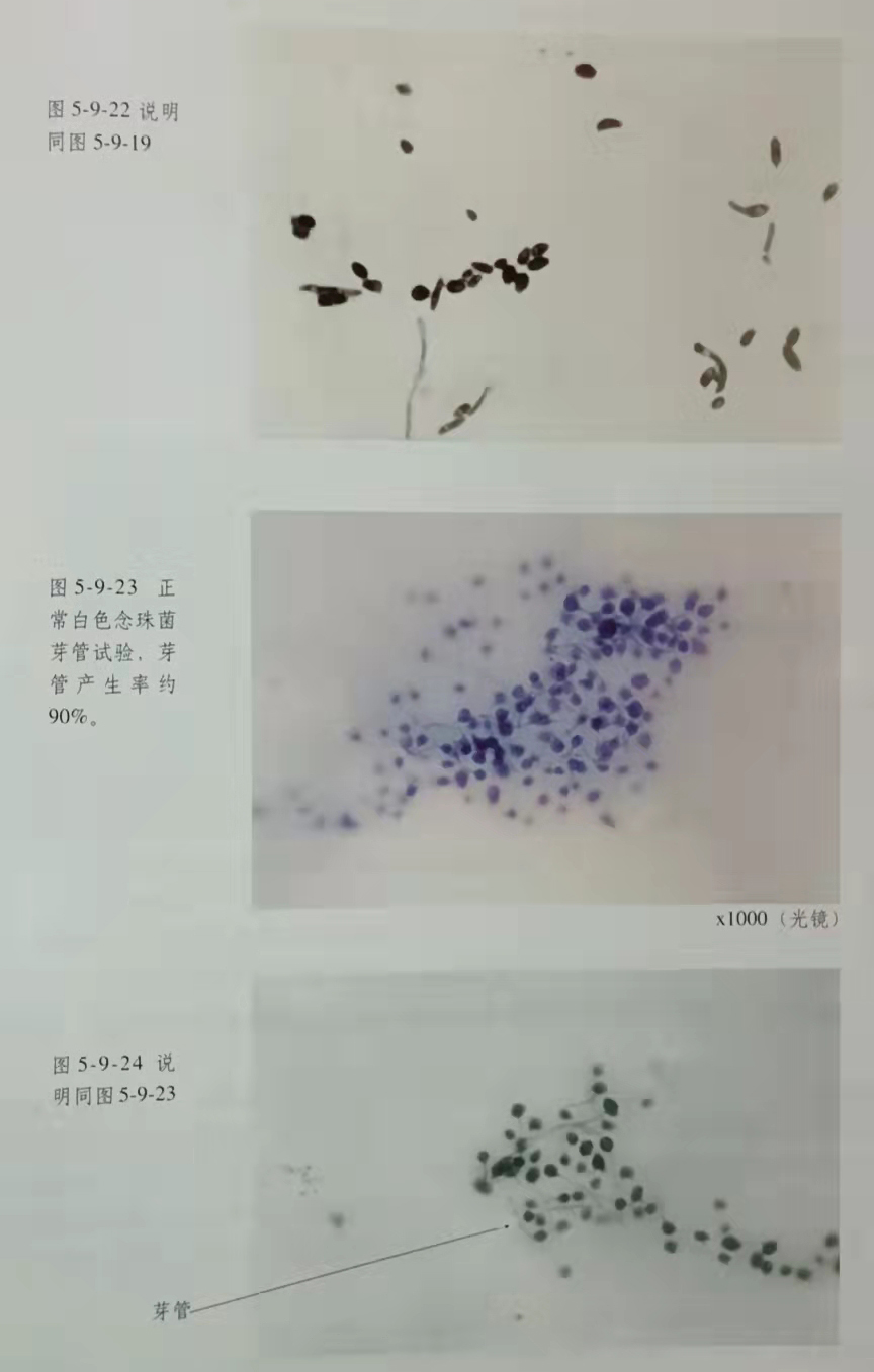 k8凯发(中国游)官方网站-APP下载