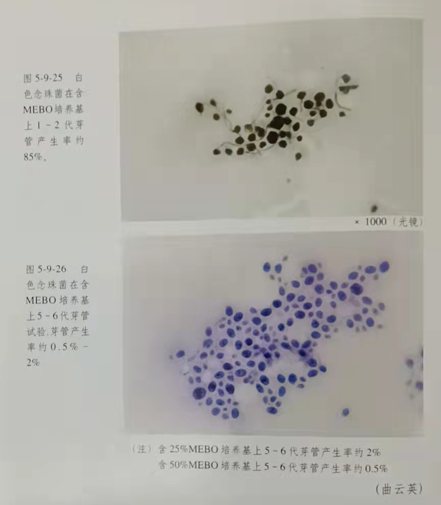 k8凯发(中国游)官方网站-APP下载