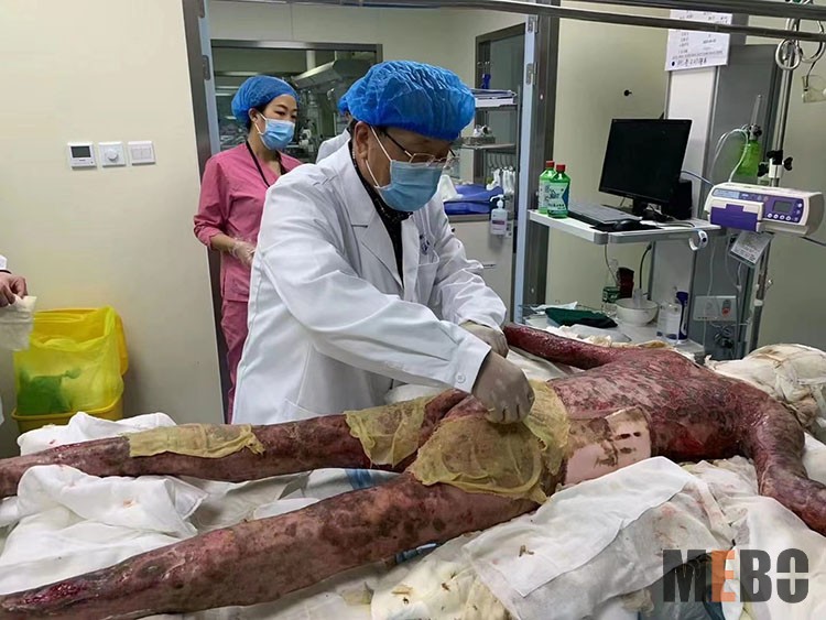 k8凯发(中国游)官方网站-APP下载