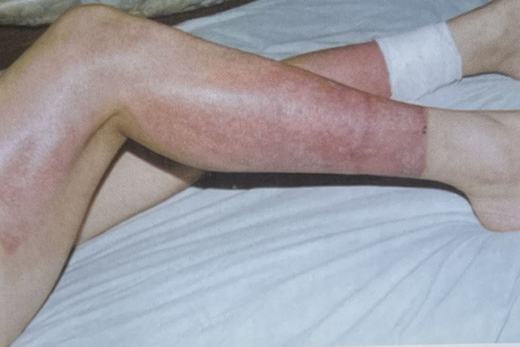 k8凯发(中国游)官方网站-APP下载