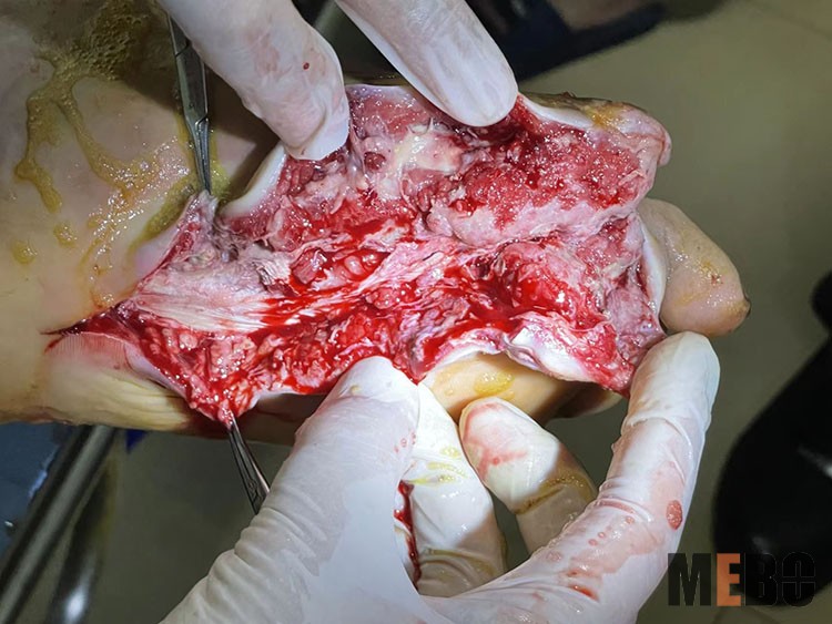 k8凯发(中国游)官方网站-APP下载