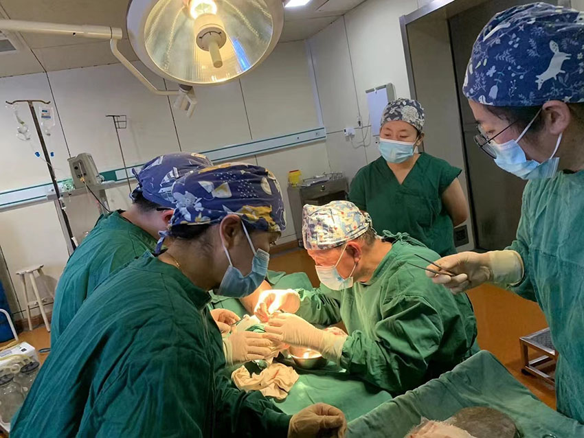 k8凯发(中国游)官方网站-APP下载