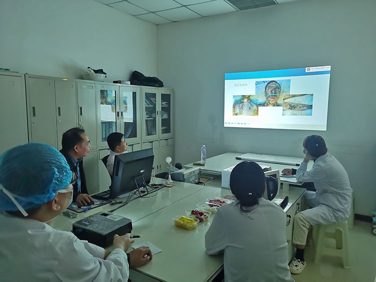 k8凯发(中国游)官方网站-APP下载