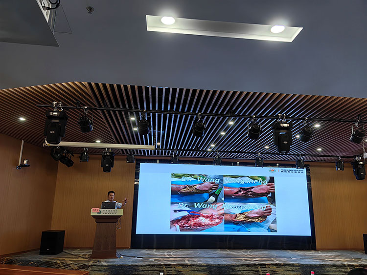 k8凯发(中国游)官方网站-APP下载