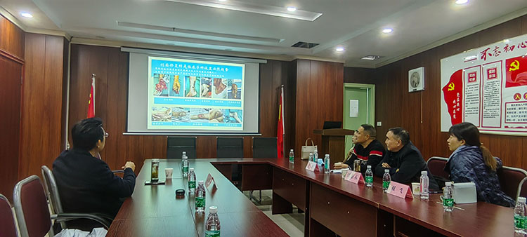 k8凯发(中国游)官方网站-APP下载