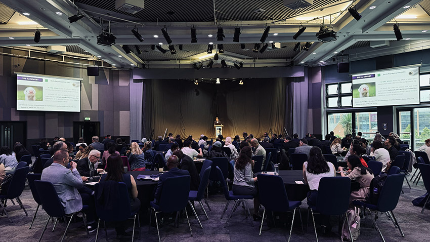 k8凯发(中国游)官方网站-APP下载