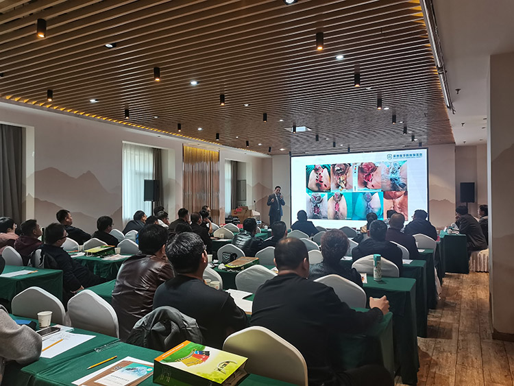 k8凯发(中国游)官方网站-APP下载